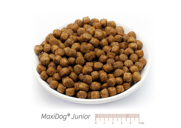 MaxiDog® Junior XXX