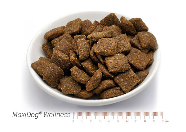 MaxiDog® Wellness XXX