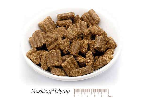 MaxiDog® Olymp XXX