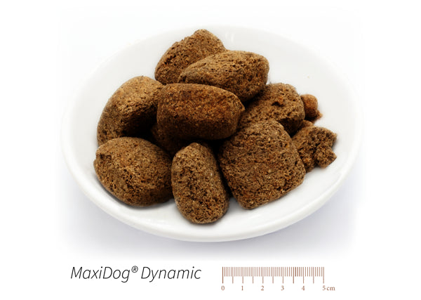 MaxiDog® Dynamic XXX