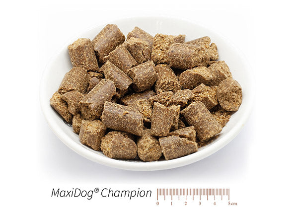MaxiDog® Champion XXX