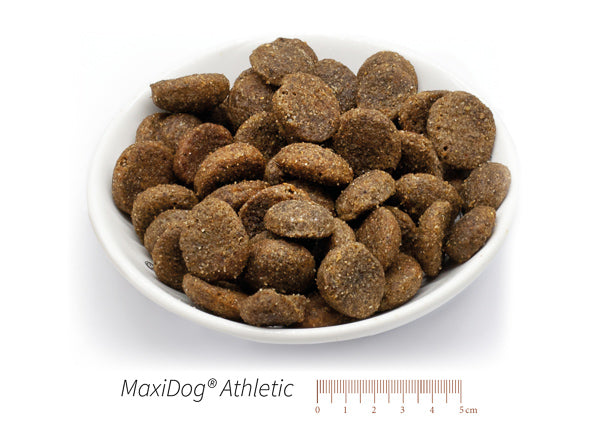 MaxiDog® Athletic XXX