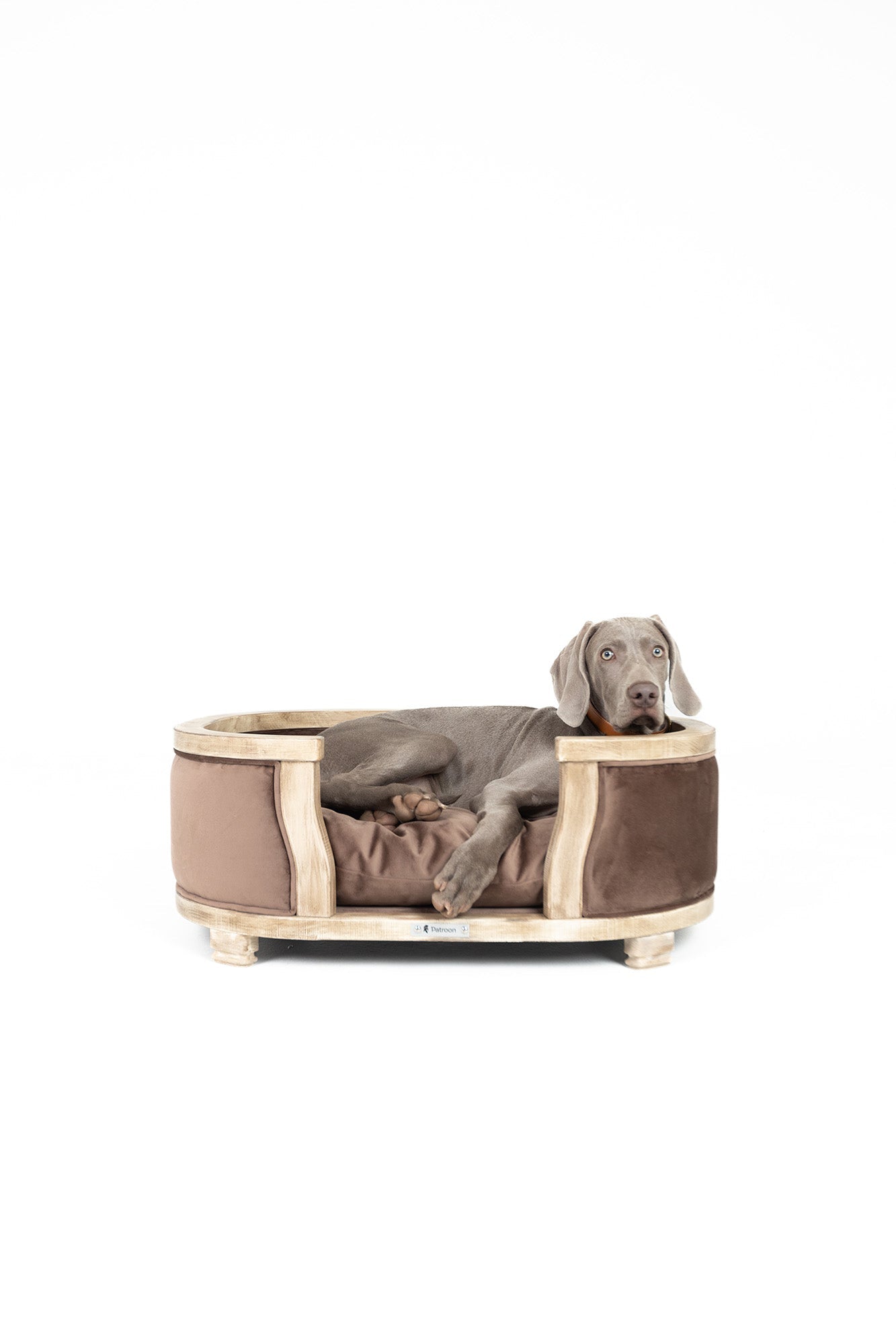 Samuel L — large dog bed
