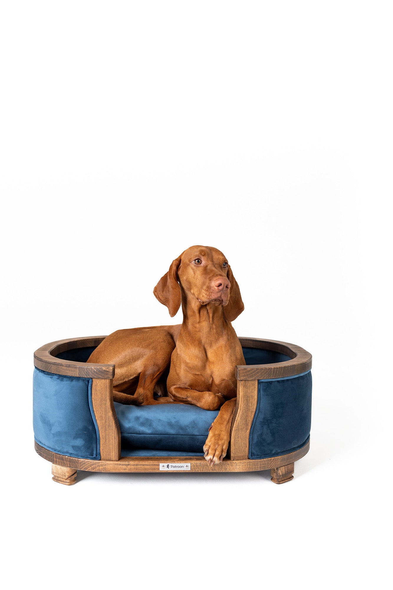 Samuel M — medium dog bed