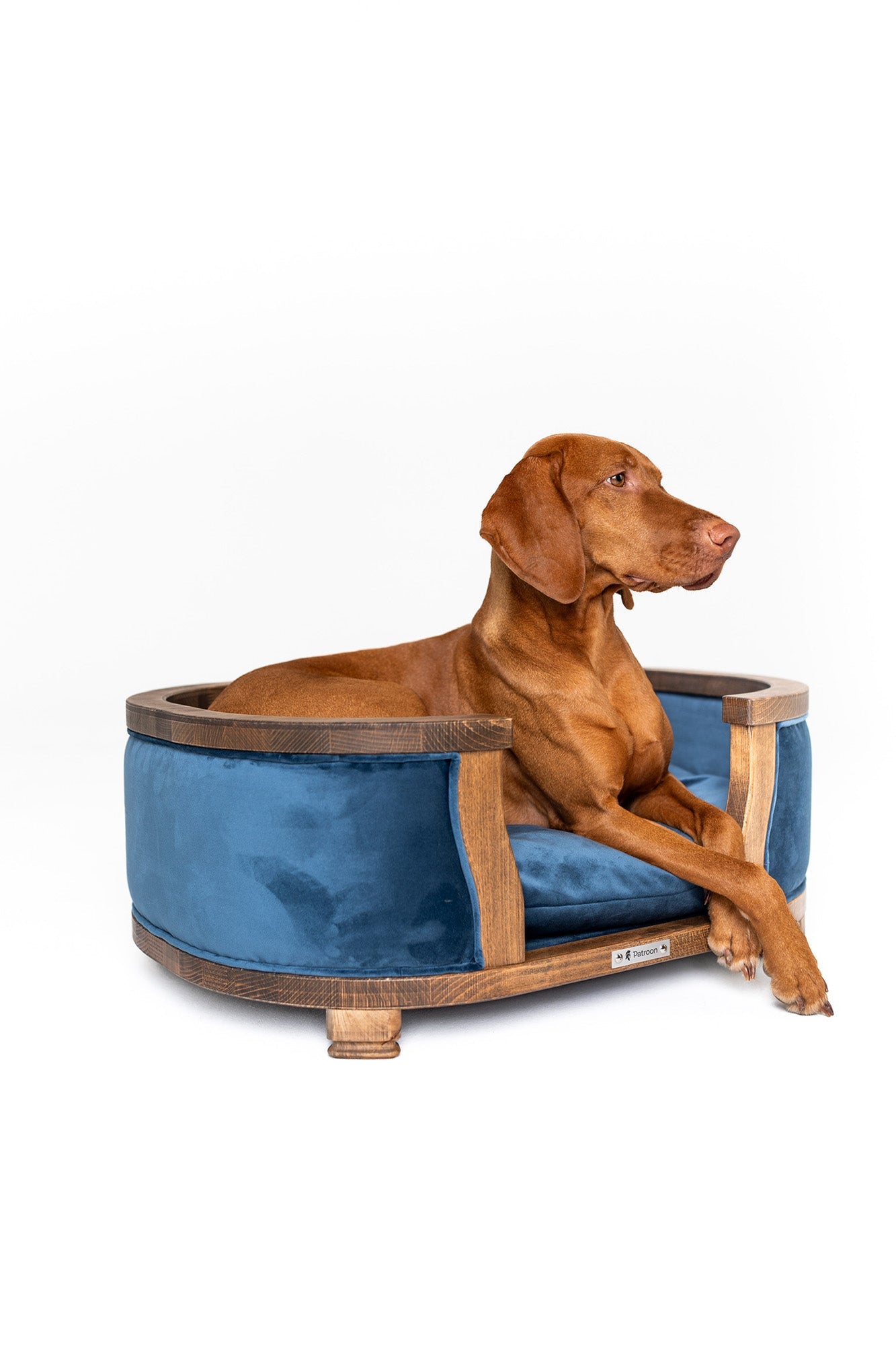 Samuel L — large dog bed