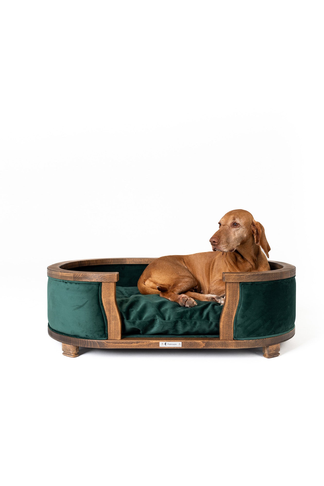 Samuel L — large dog bed