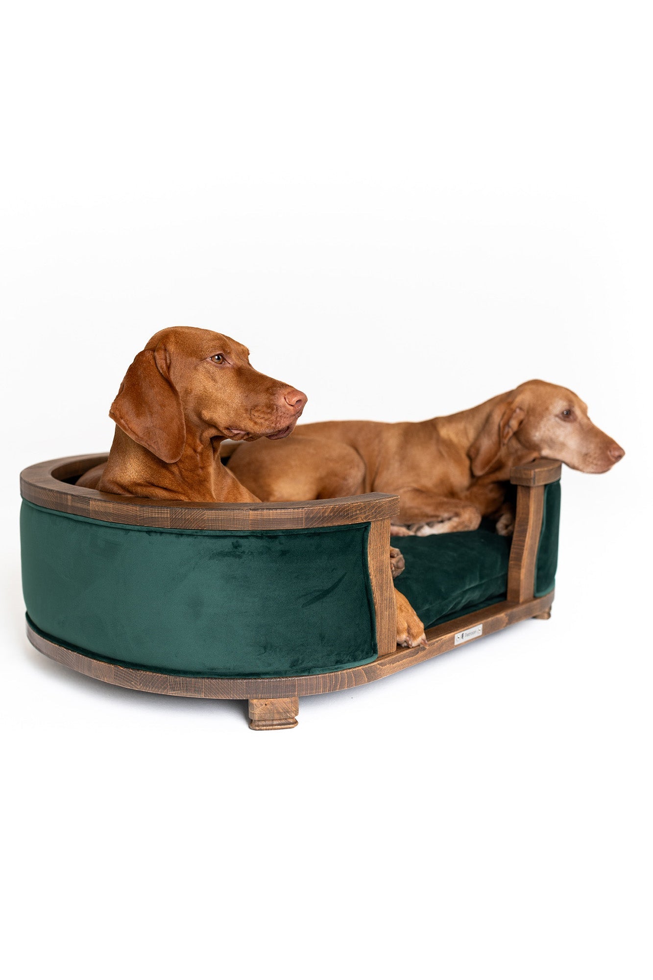 Samuel L — large dog bed