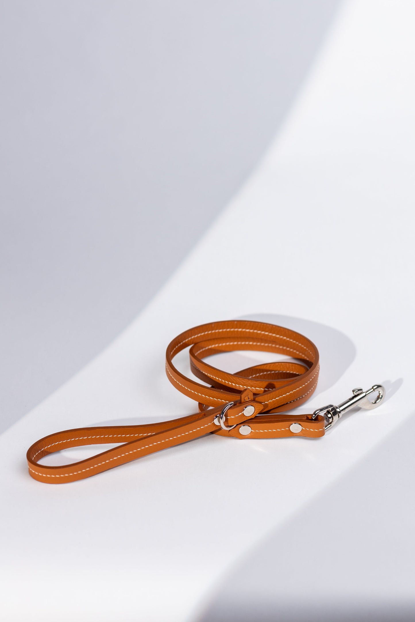 Dog leash Amber