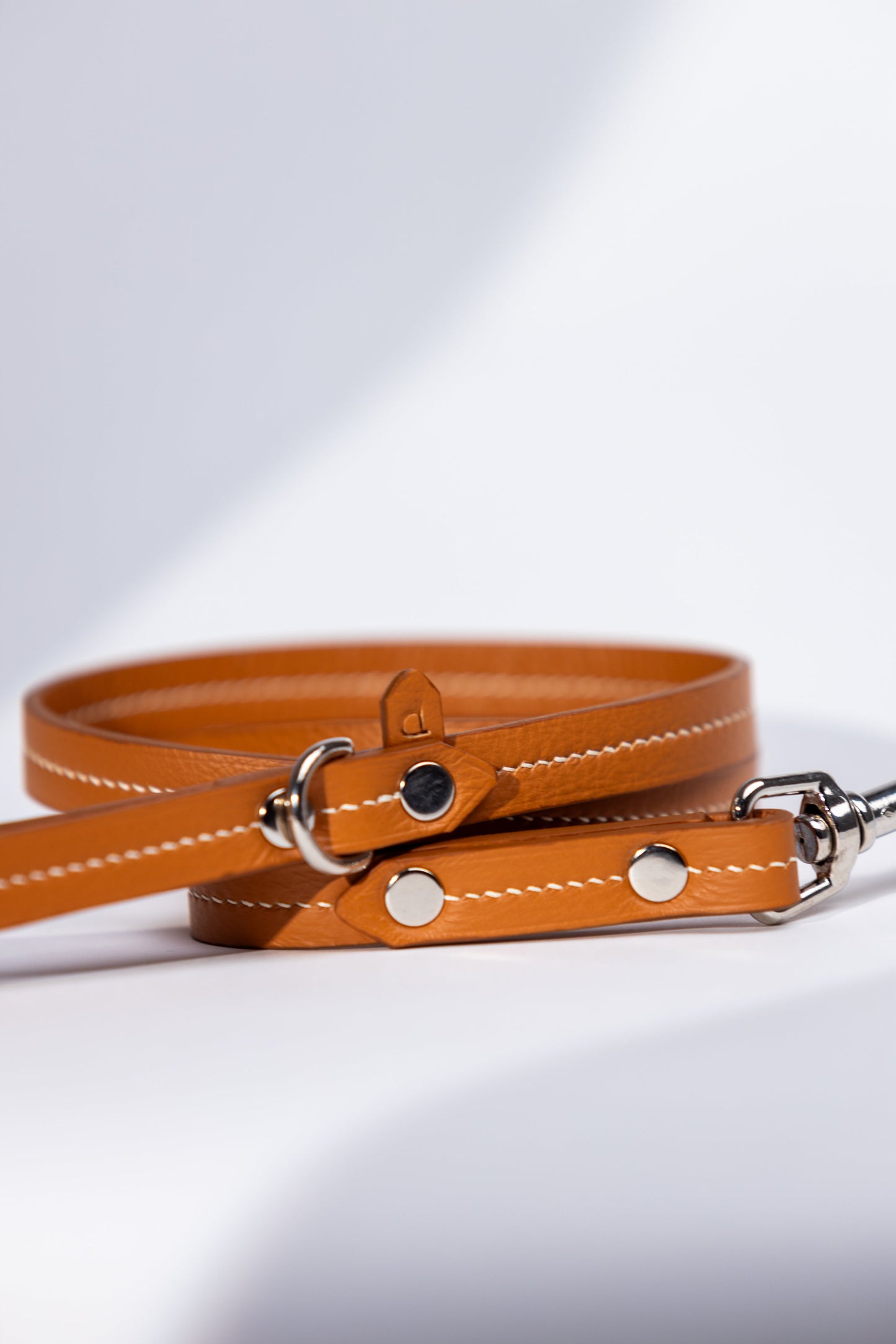 Dog leash Amber