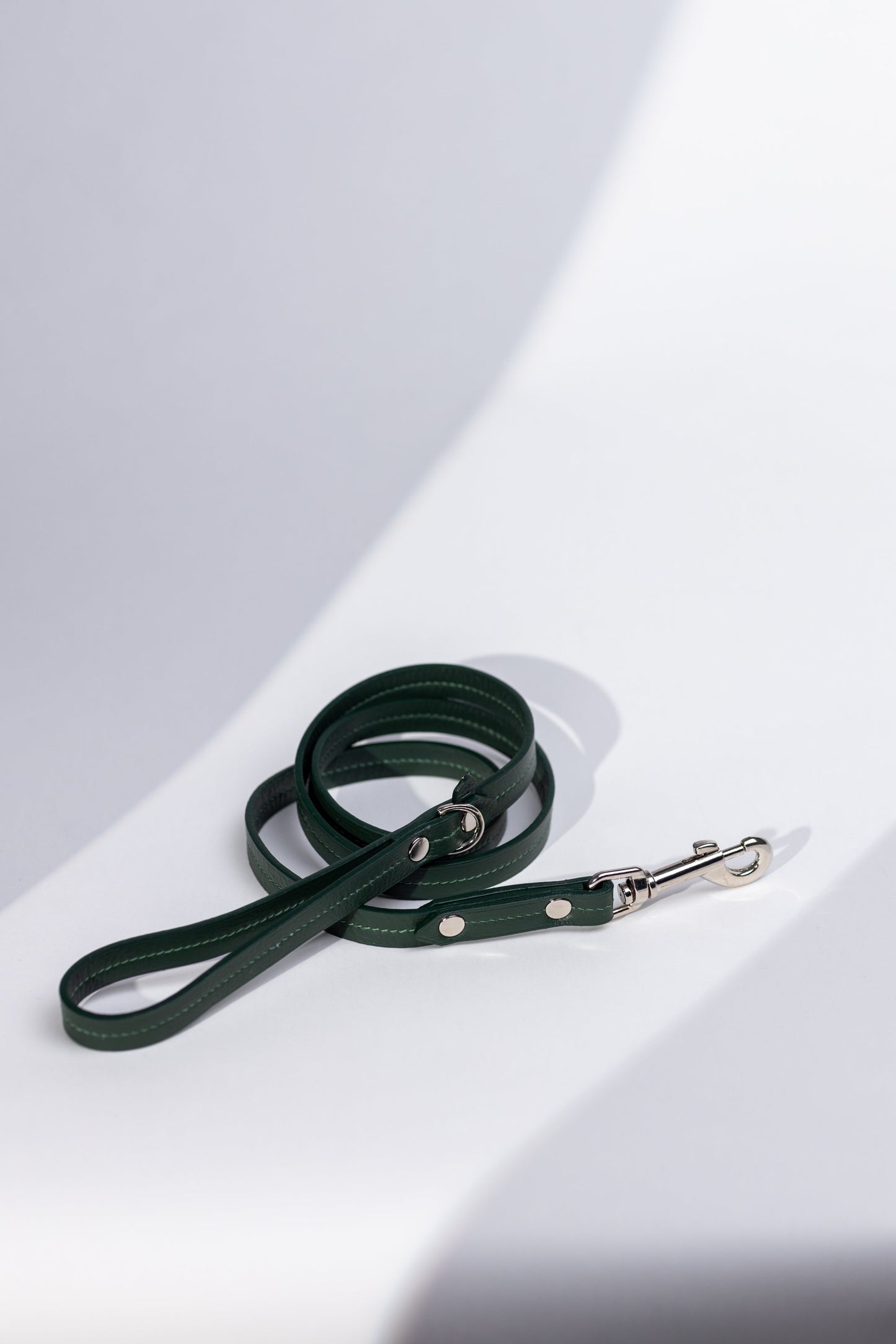 Dog leash Brunswick