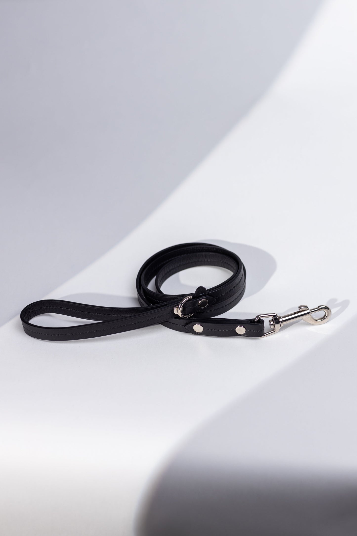 Dog leash Onyx