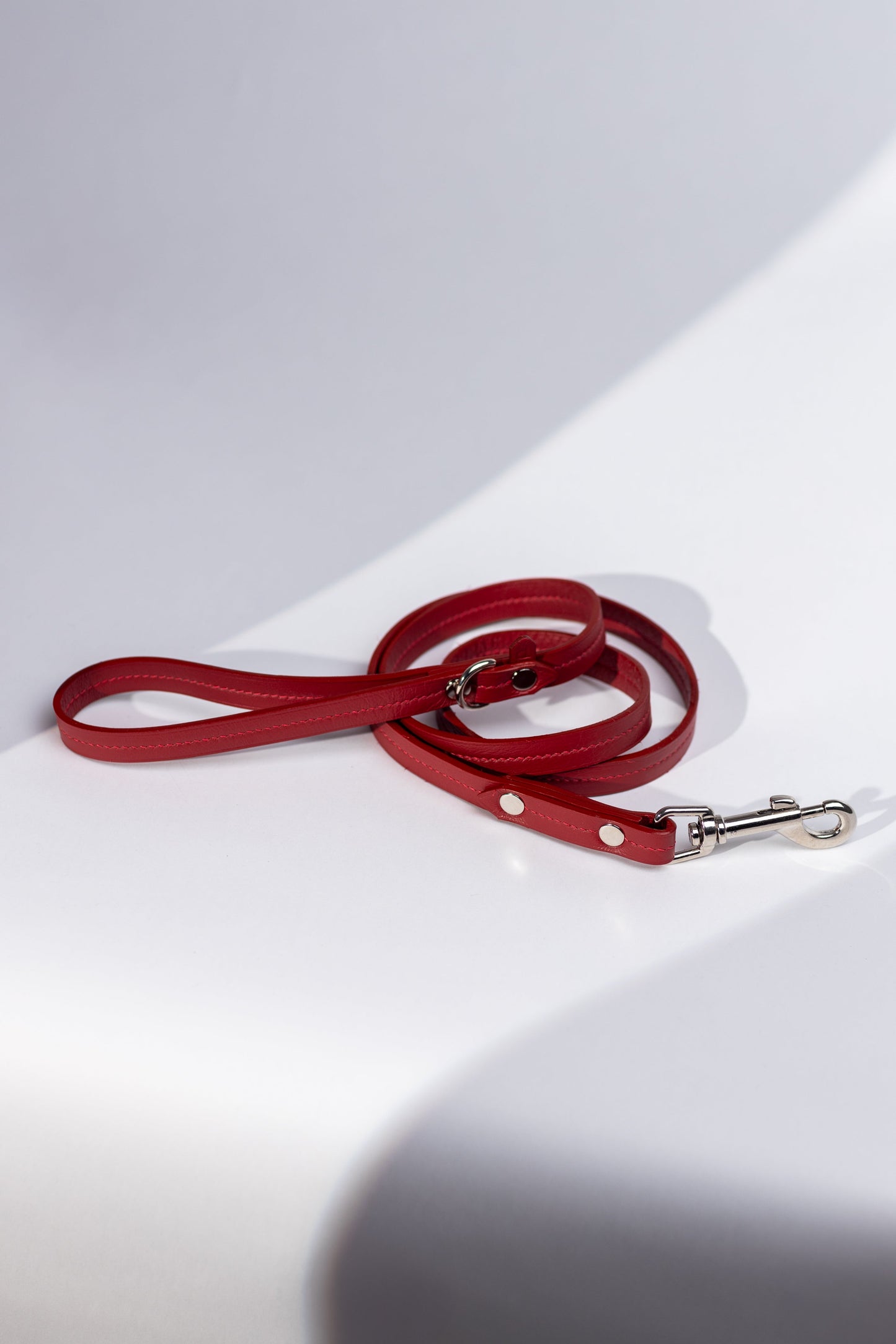 Dog leash Candy