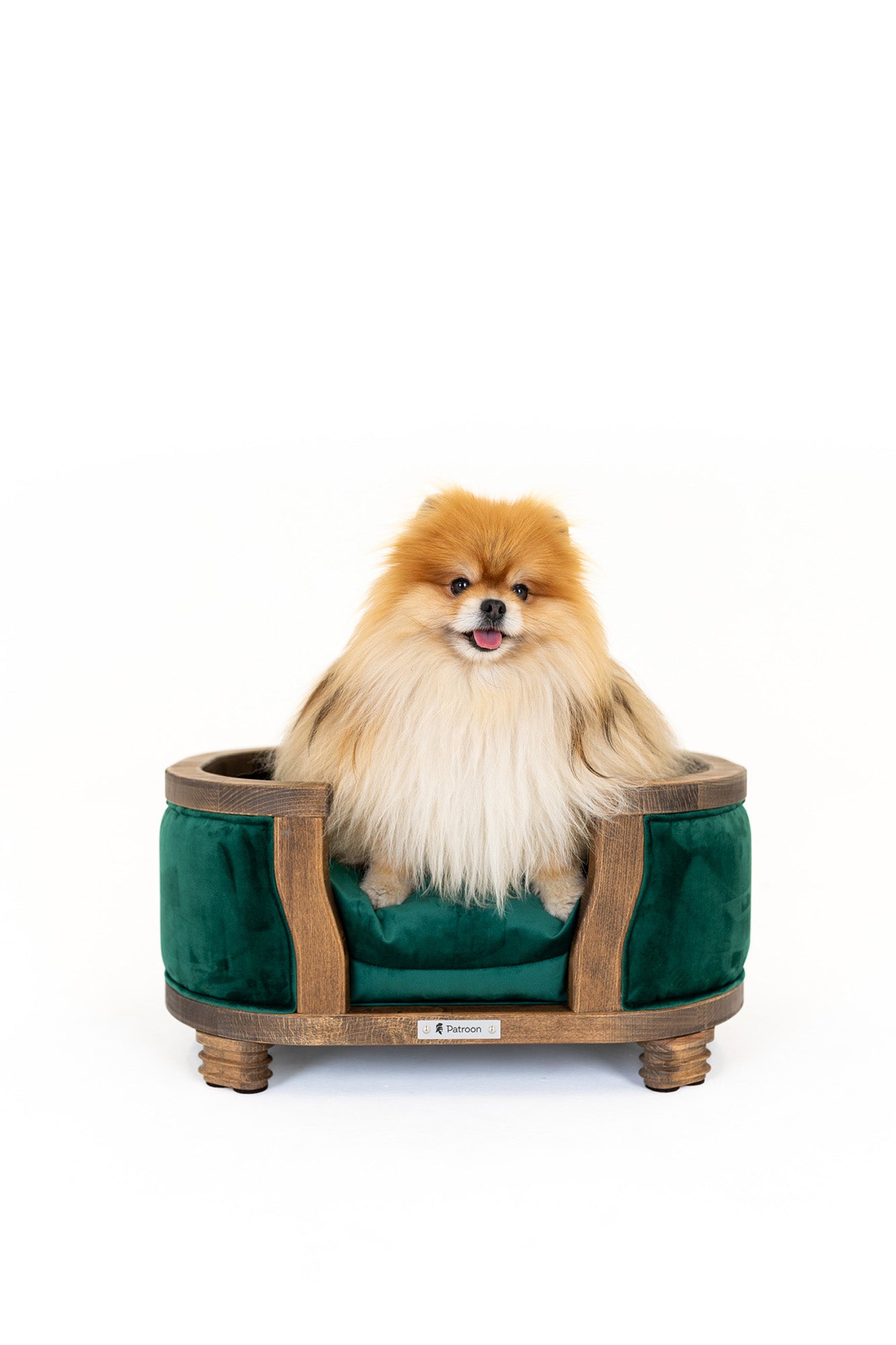 Samuel S — small dog bed