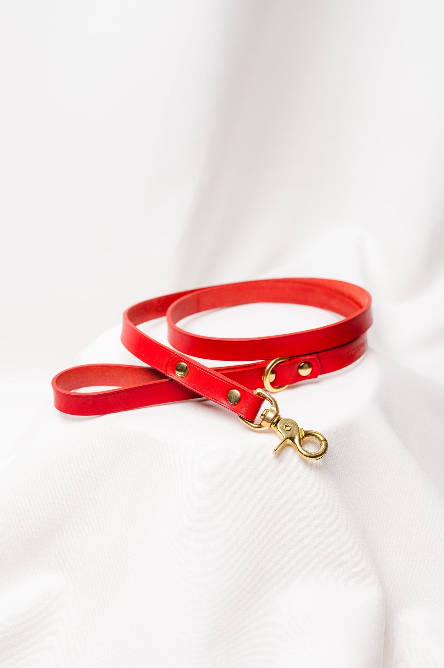 Dog leash Maremma Red