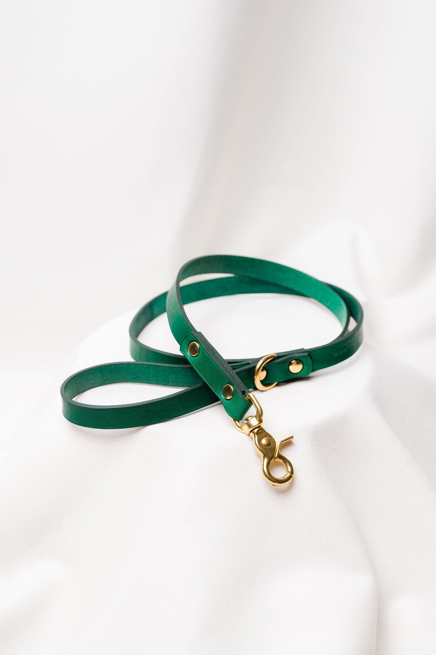 Dog leash Ponte Green