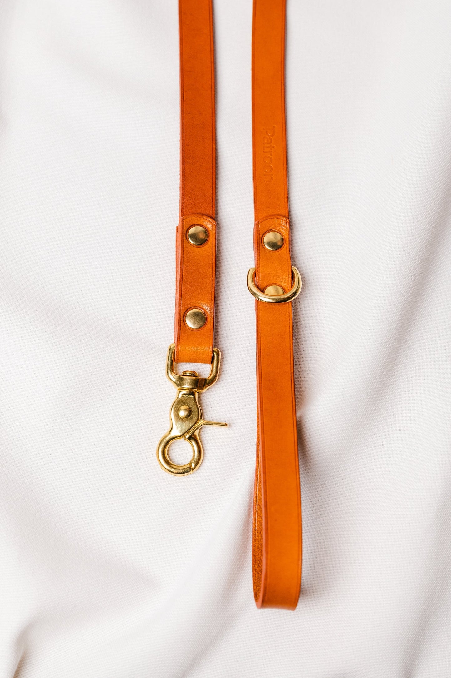 Dog leash Ponte Honey