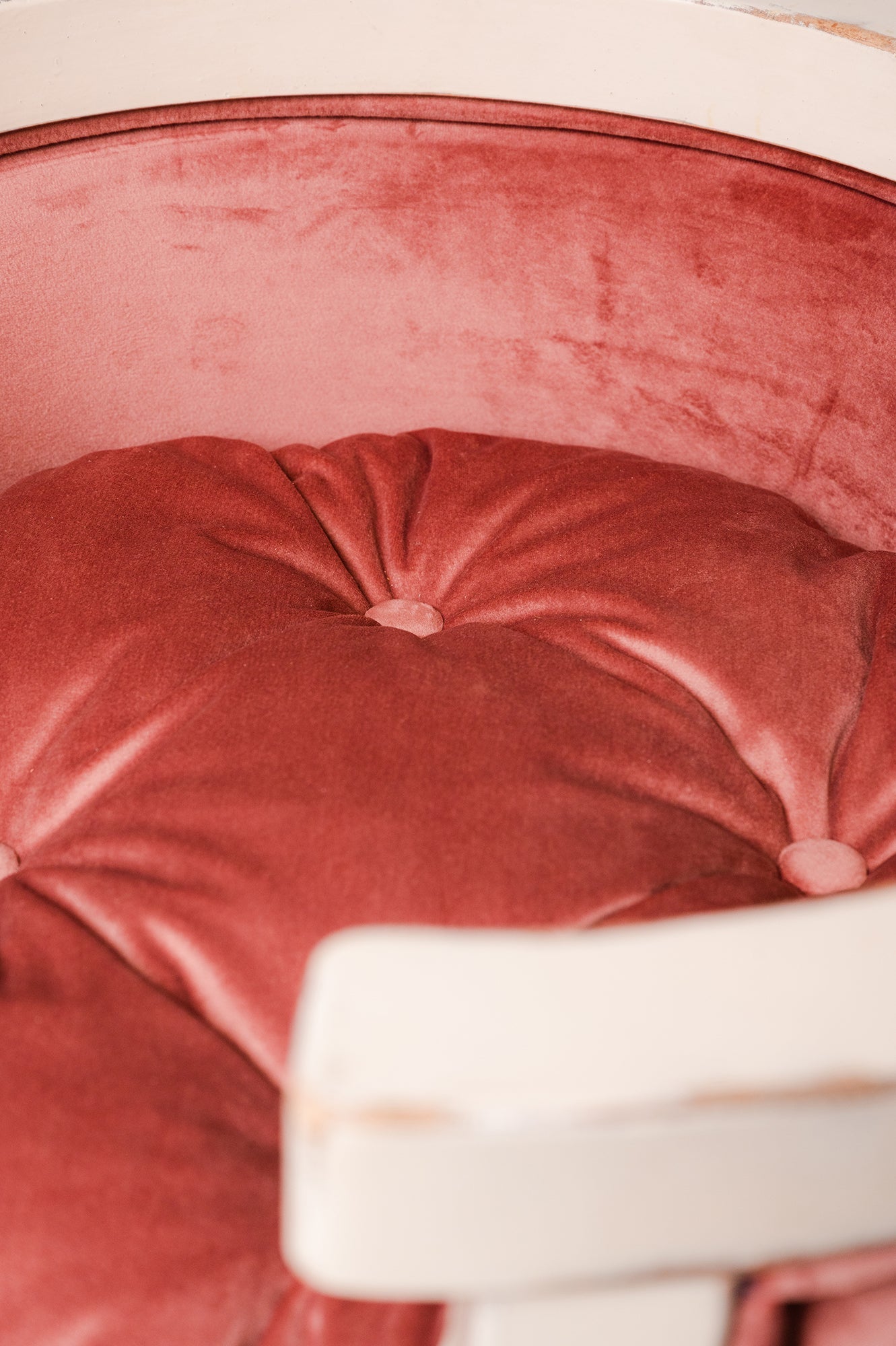 Leo M — medium dog bed