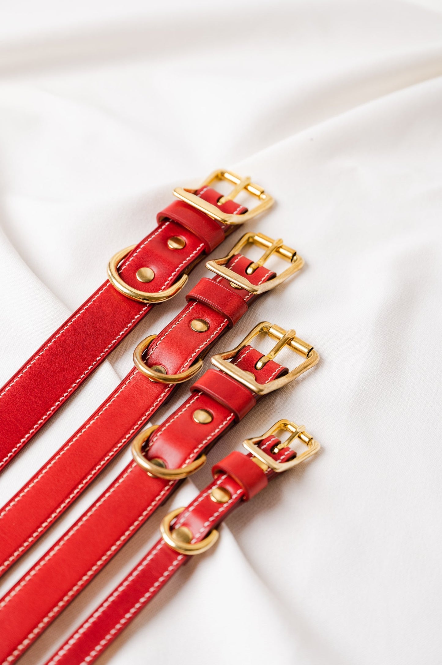 Dog Collar Maremma Red