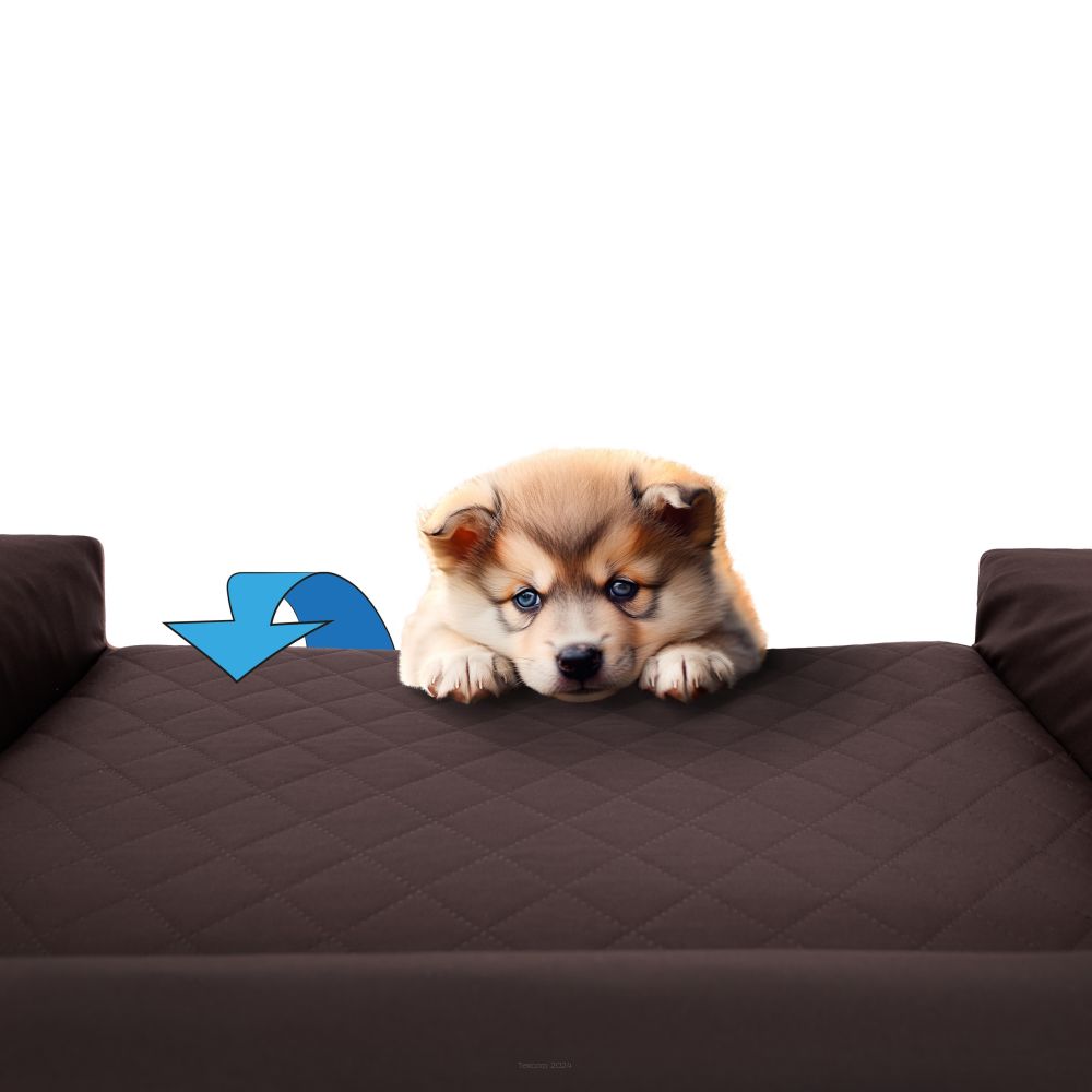 Pelech pre psa Viktória XXX