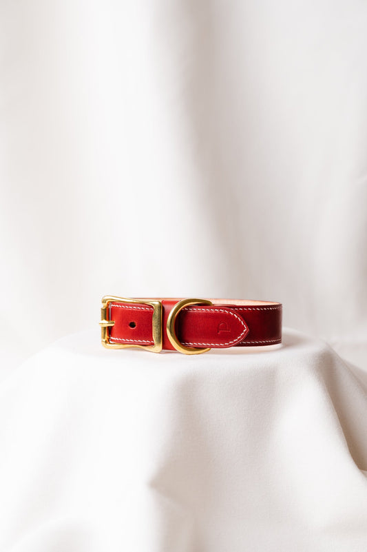 Obojok pre psa Maremma Red